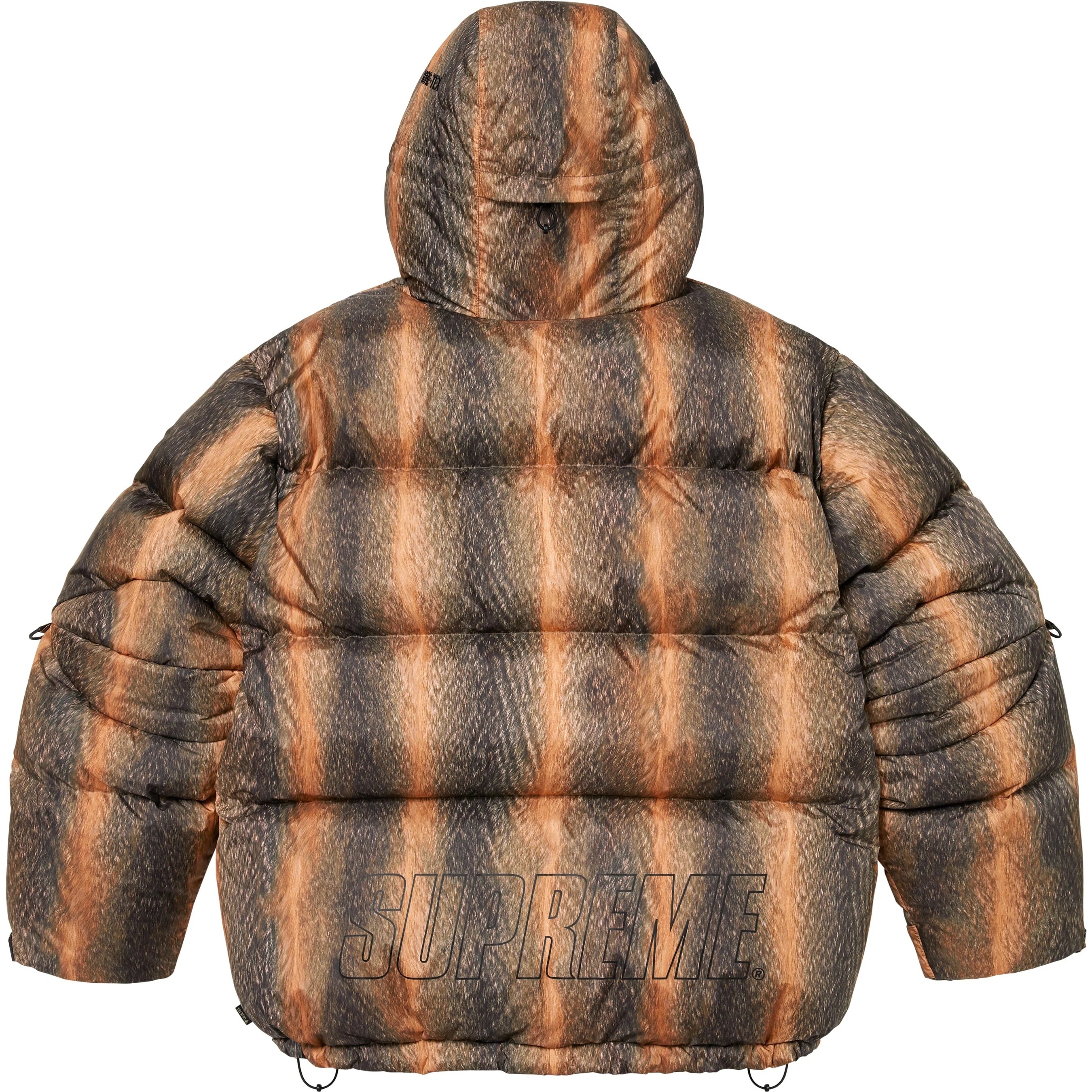 GORE-TEX 900-Fill Down Parka view 6